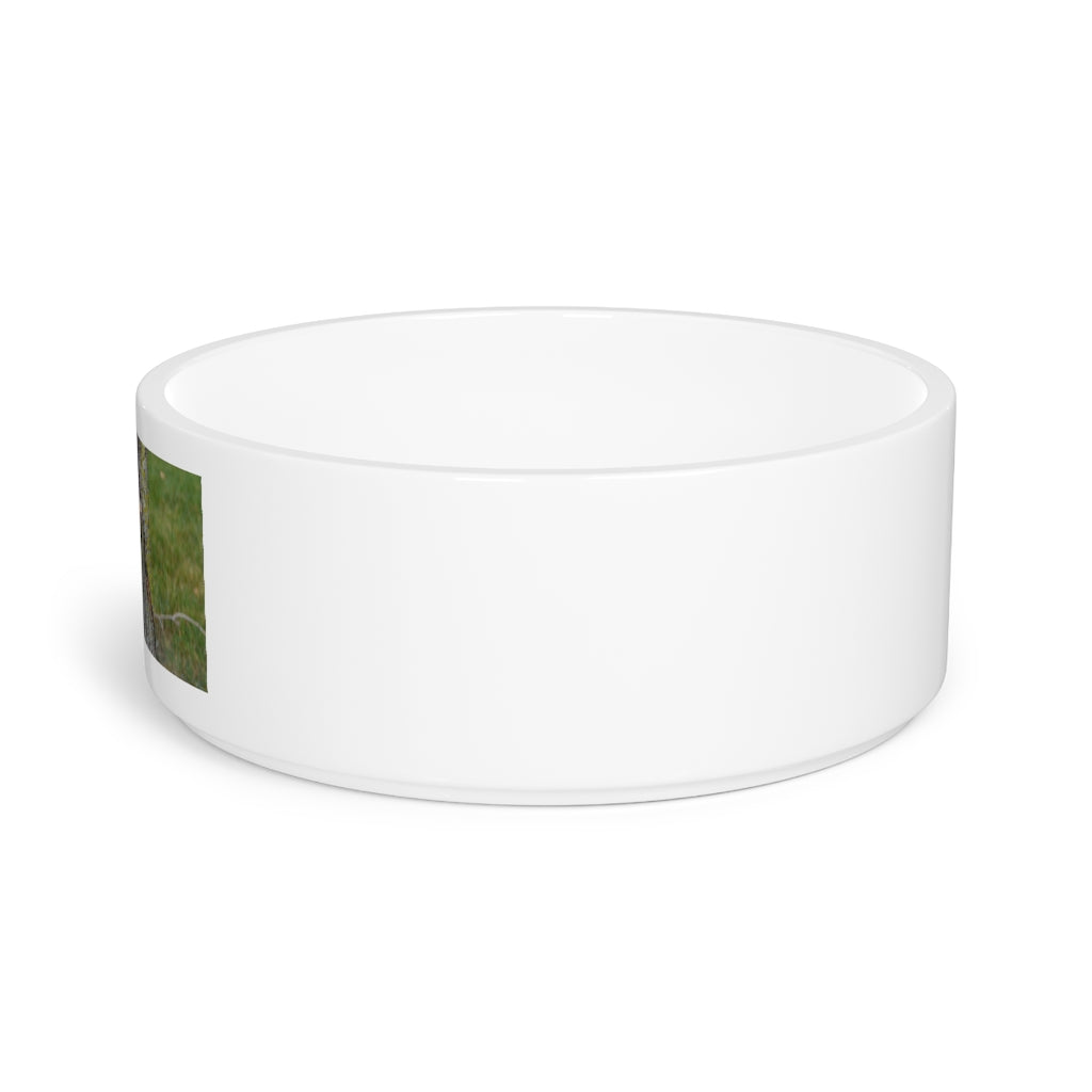 A stylish Tree Stump Pet Bowl made of white ceramic, featuring a customizable design that wraps around half of the bowl, perfect for small to medium pets.