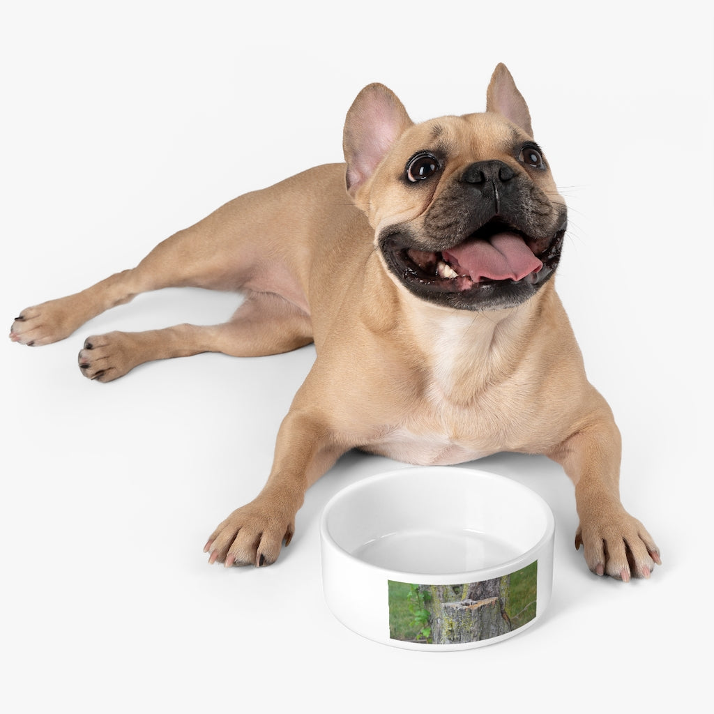 A stylish Tree Stump Pet Bowl made of white ceramic, featuring a customizable design that wraps around half of the bowl, perfect for small to medium pets.