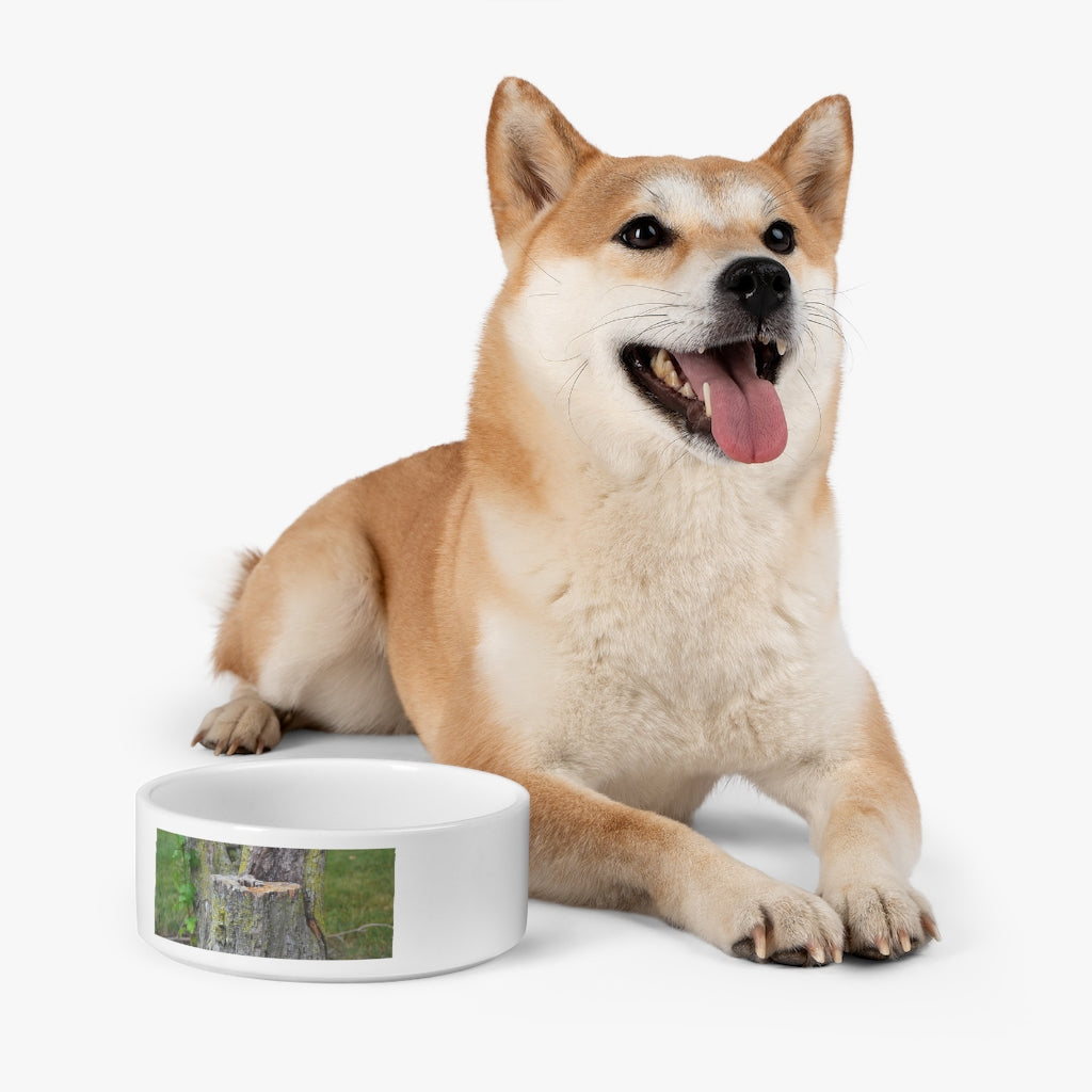 A stylish Tree Stump Pet Bowl made of white ceramic, featuring a customizable design that wraps around half of the bowl, perfect for small to medium pets.