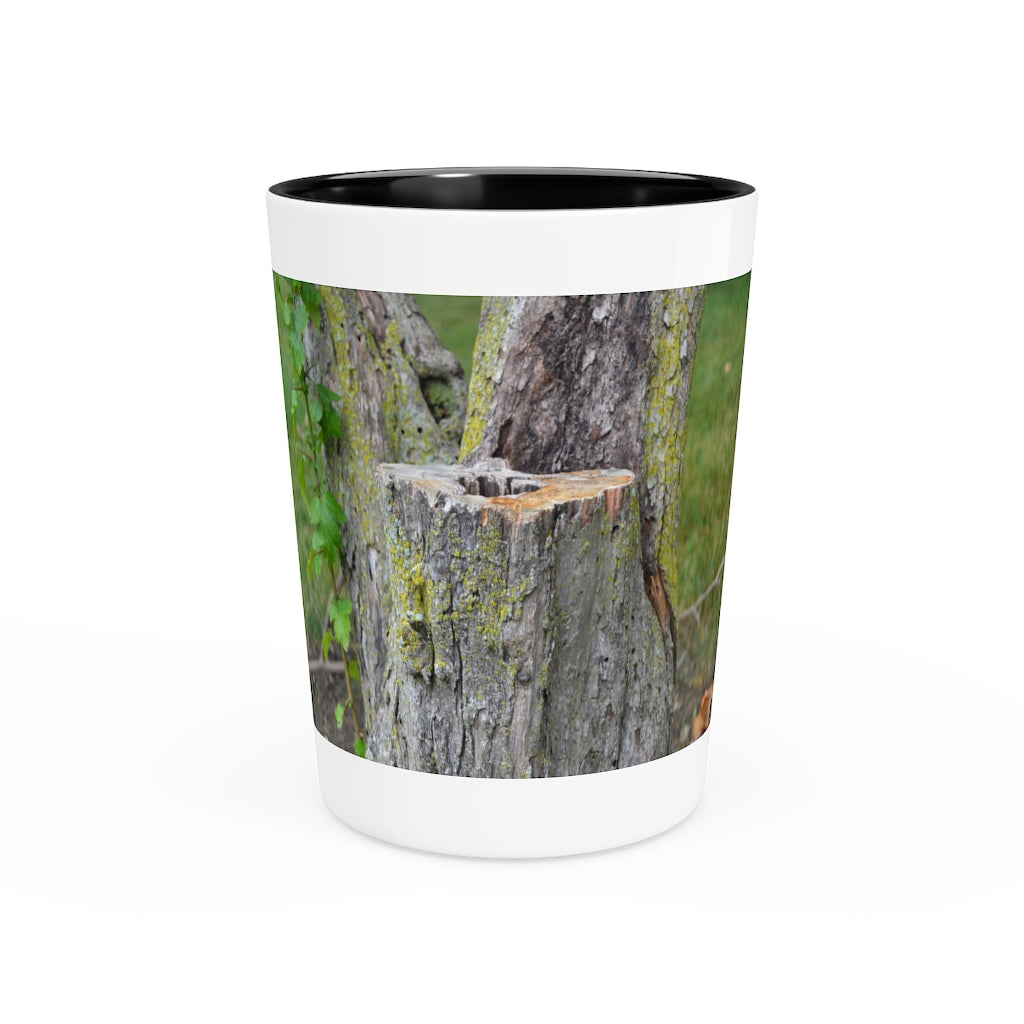 Ceramic Tree Stump Shot Glass with customizable interior options.