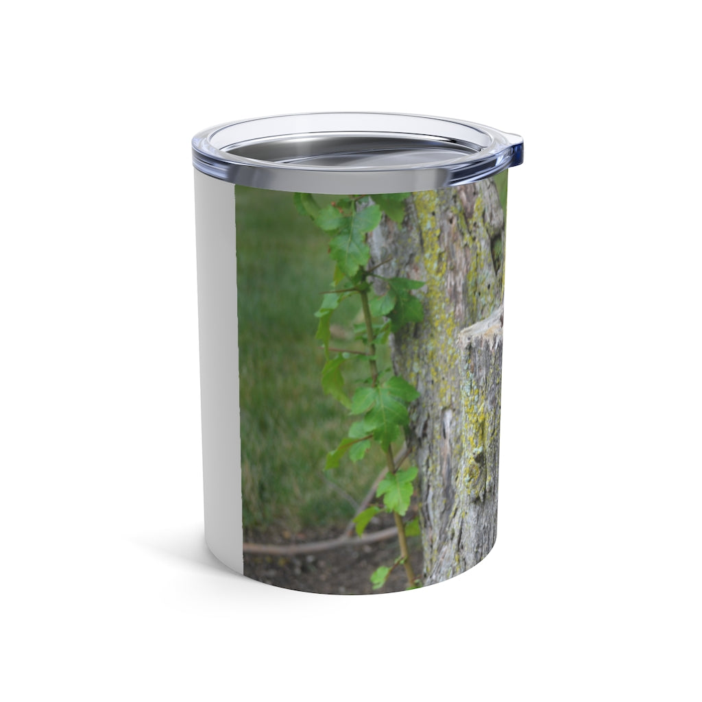 Tree Stump Tumbler 10oz made of stainless steel with a see-thru plastic lid, showcasing its sleek design and rounded corners.