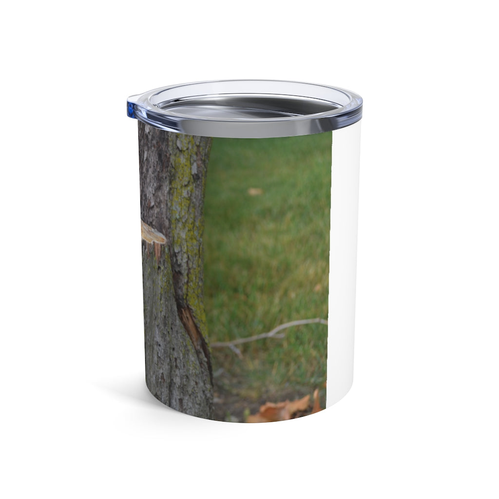 Tree Stump Tumbler 10oz made of stainless steel with a see-thru plastic lid, showcasing its sleek design and rounded corners.