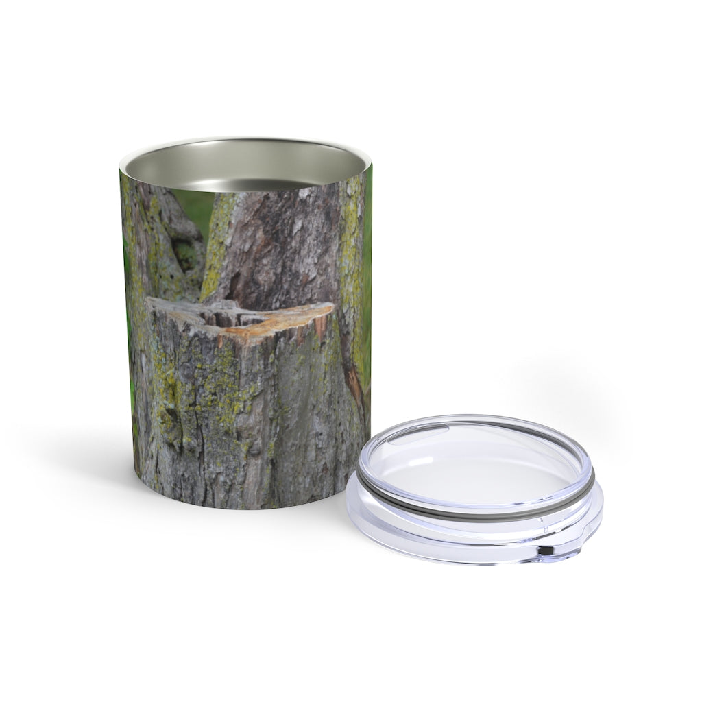 Tree Stump Tumbler 10oz made of stainless steel with a see-thru plastic lid, showcasing its sleek design and rounded corners.