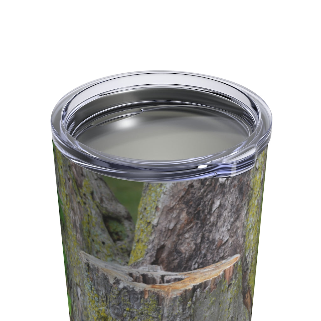 Tree Stump Tumbler 10oz made of stainless steel with a see-thru plastic lid, showcasing its sleek design and rounded corners.