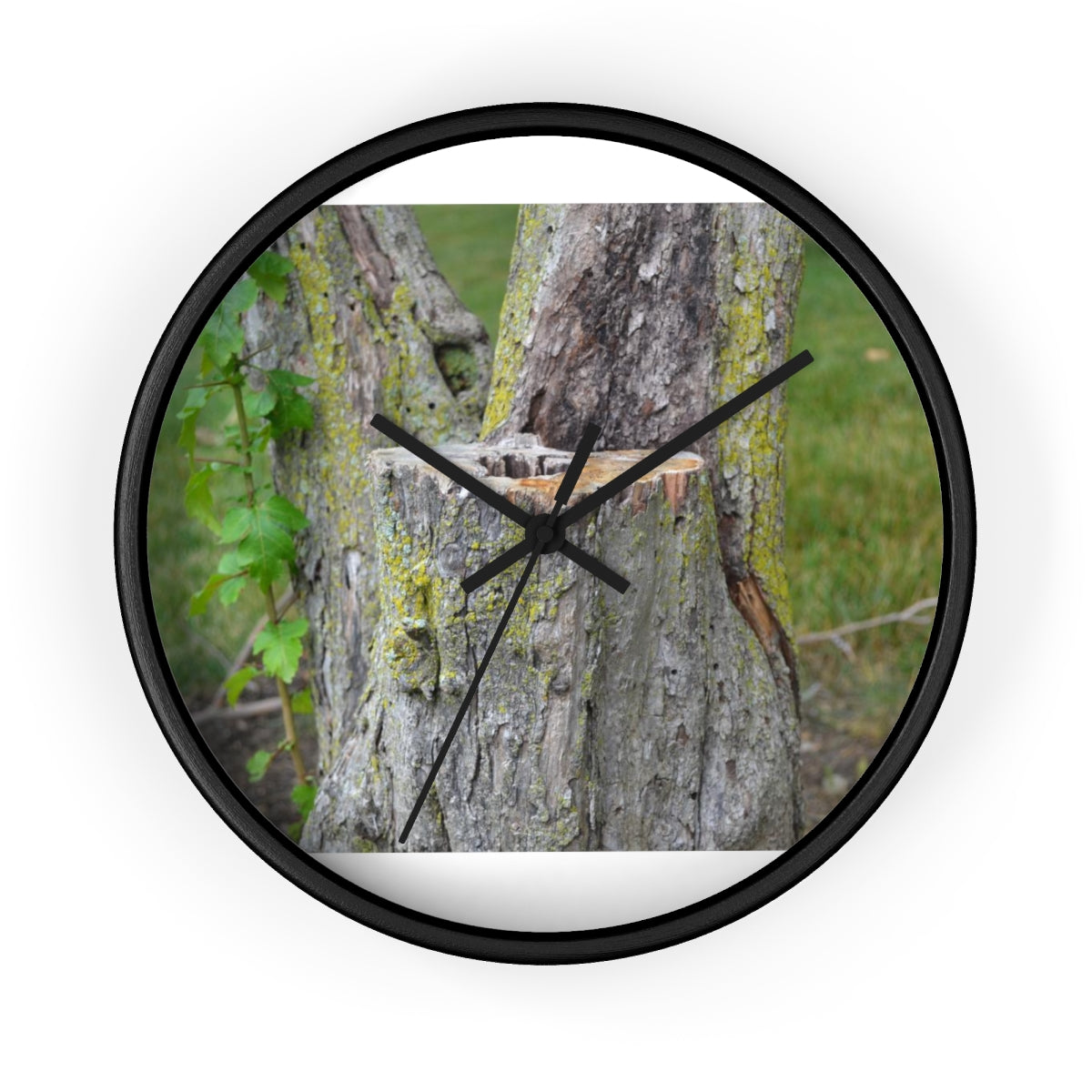 Tree Stump Wall Clock with wooden frame and plexiglass face, showcasing a rustic design.