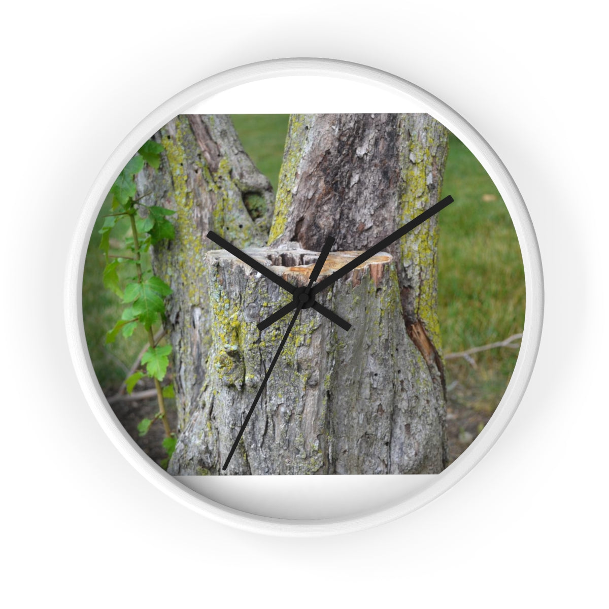 Tree Stump Wall Clock with wooden frame and plexiglass face, showcasing a rustic design.