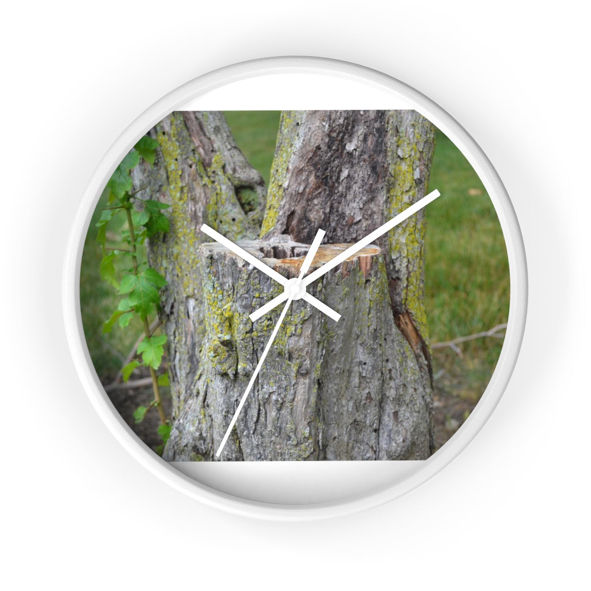 Tree Stump Wall Clock with wooden frame and plexiglass face, showcasing a rustic design.