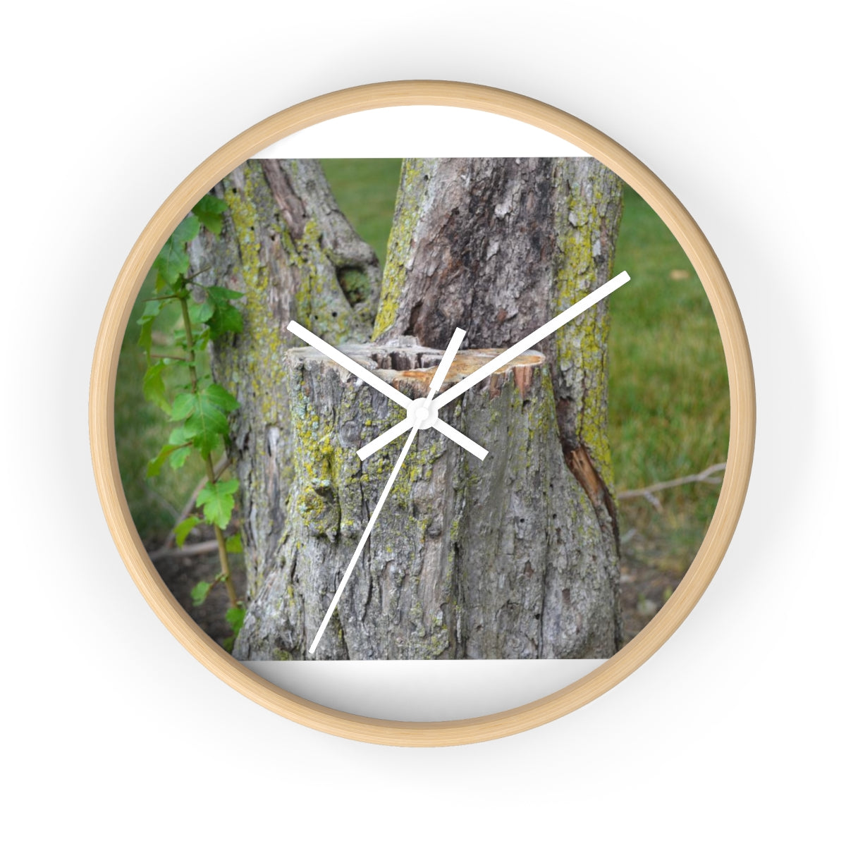 Tree Stump Wall Clock with wooden frame and plexiglass face, showcasing a rustic design.