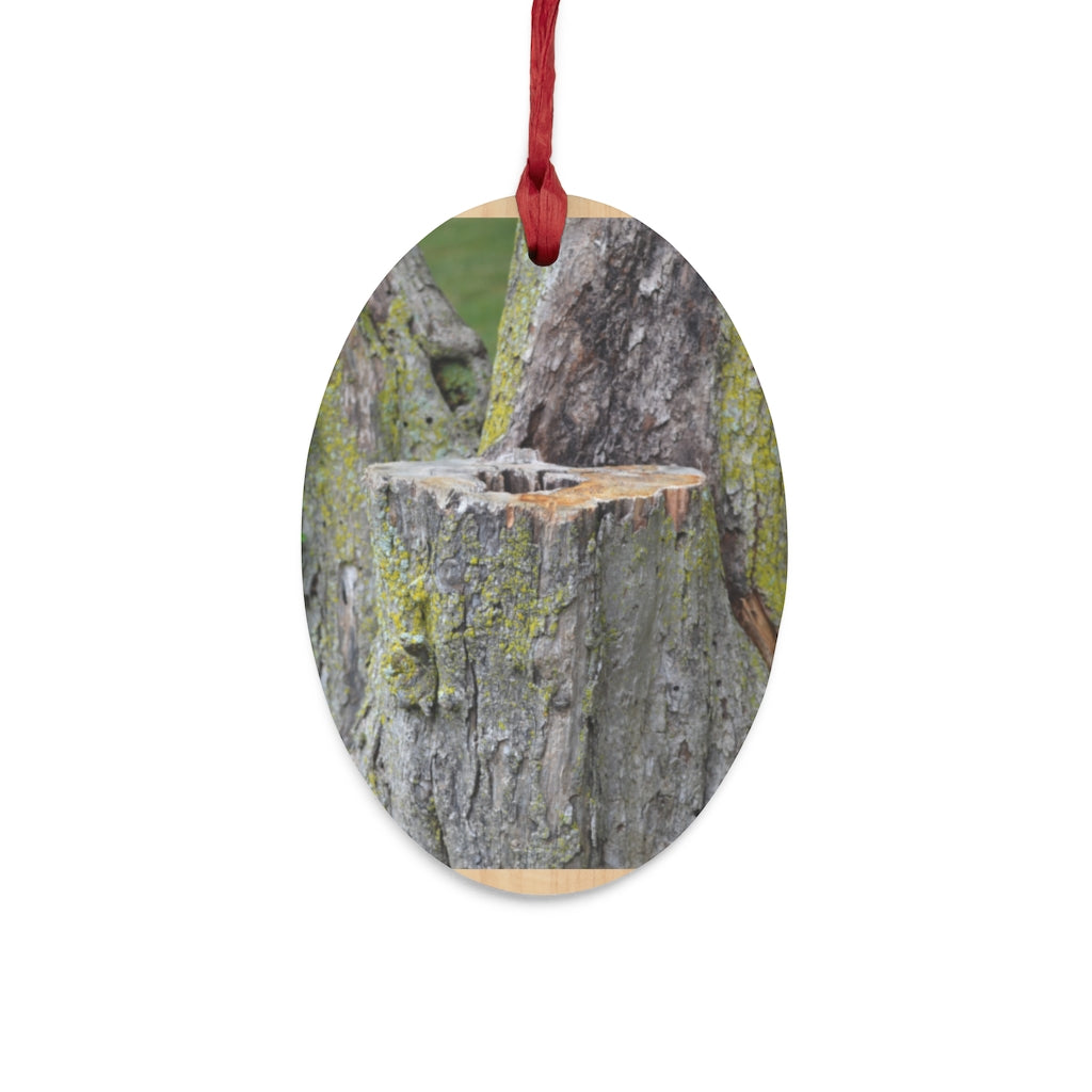 Tree Stump Wooden Christmas Ornaments in various whimsical shapes, featuring a rustic wood finish and red ribbons for hanging.