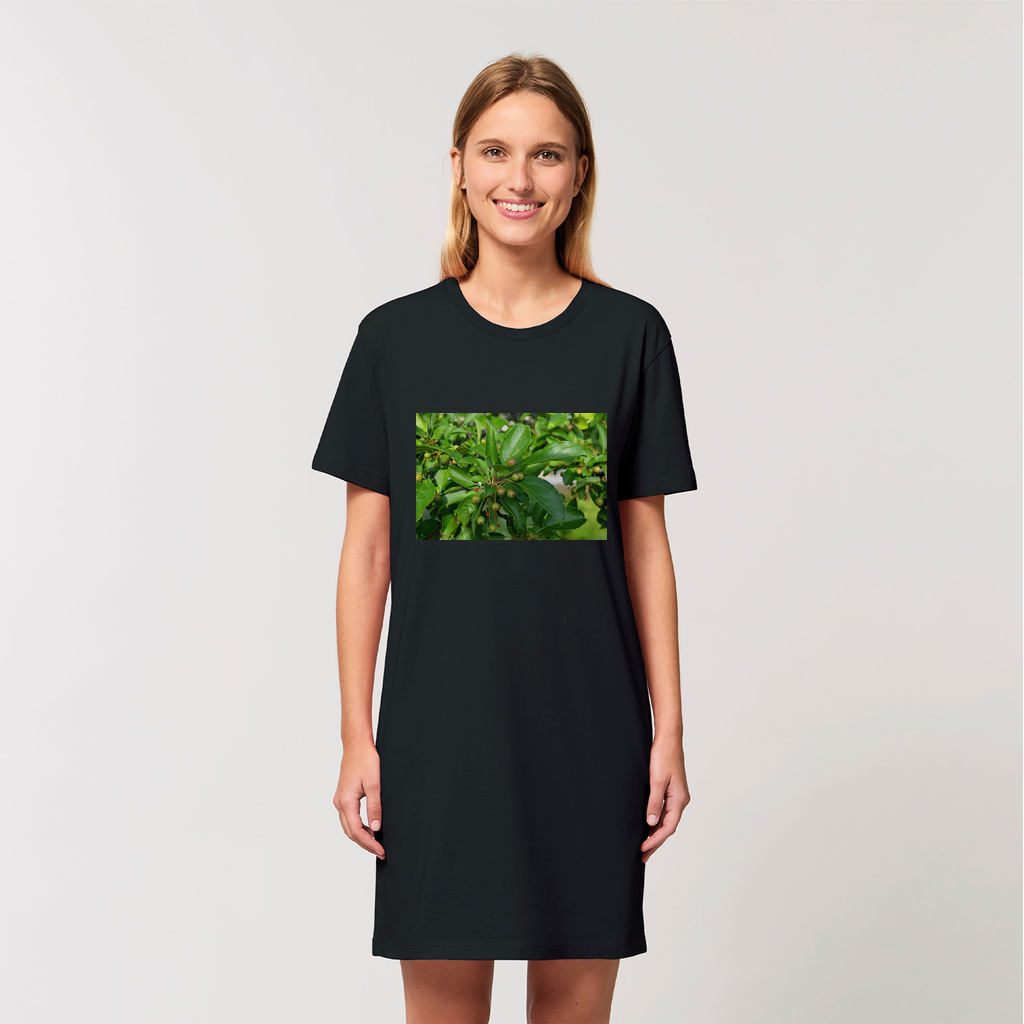 A stylish women's t-shirt dress made from 100% organic cotton, featuring a tree with seeds design, perfect for casual wear.