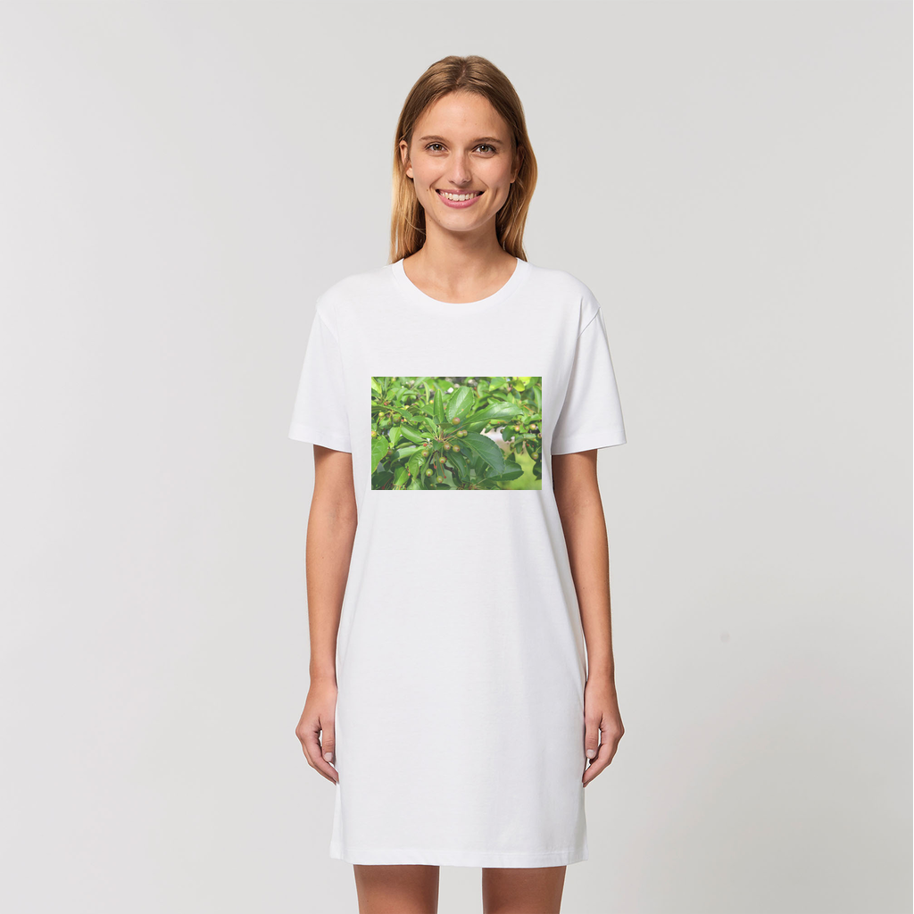 A stylish women's t-shirt dress made from 100% organic cotton, featuring a tree with seeds design, perfect for casual wear.