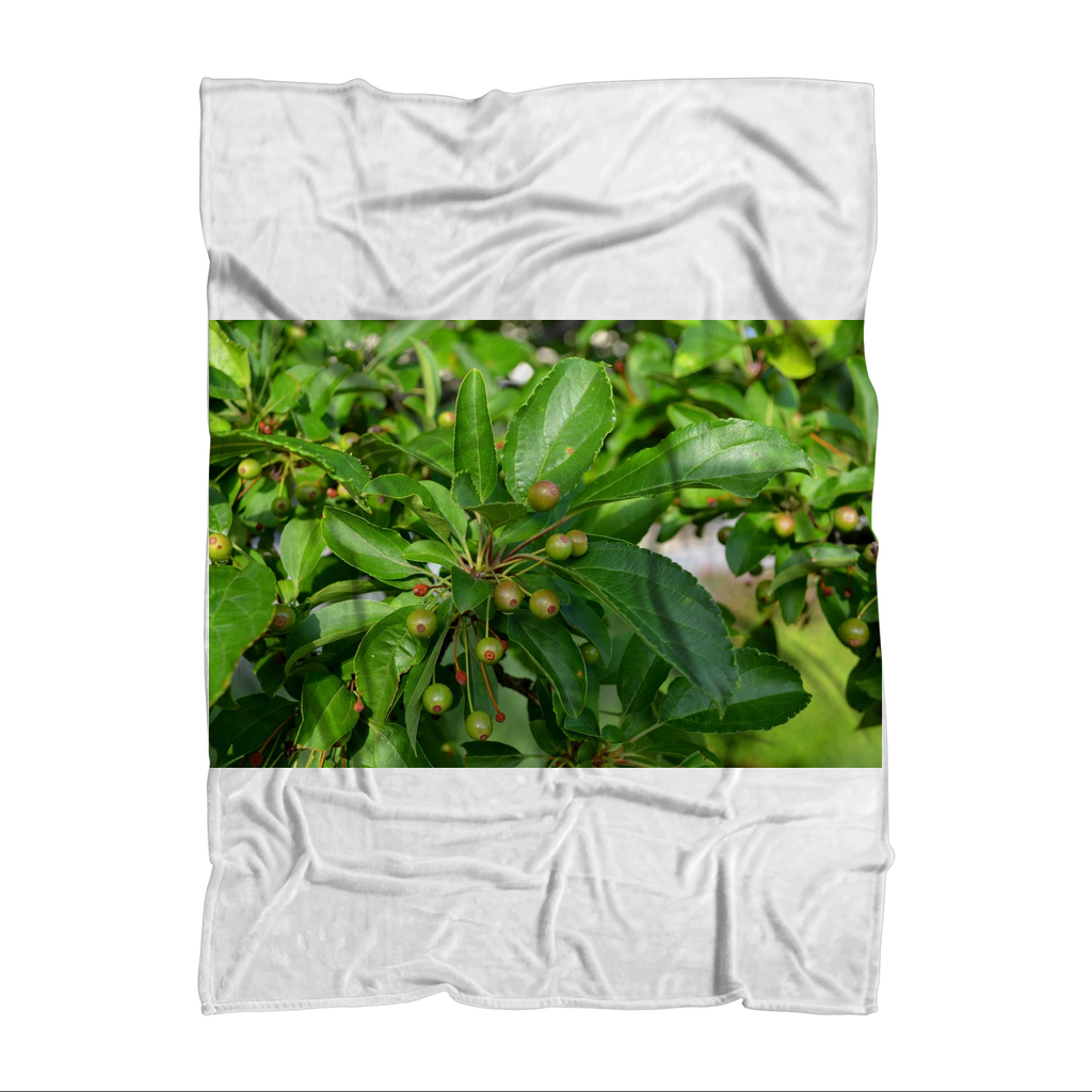 Tree with Seeds Sublimation Throw Blanket showcasing vibrant tree design on soft fleece fabric.