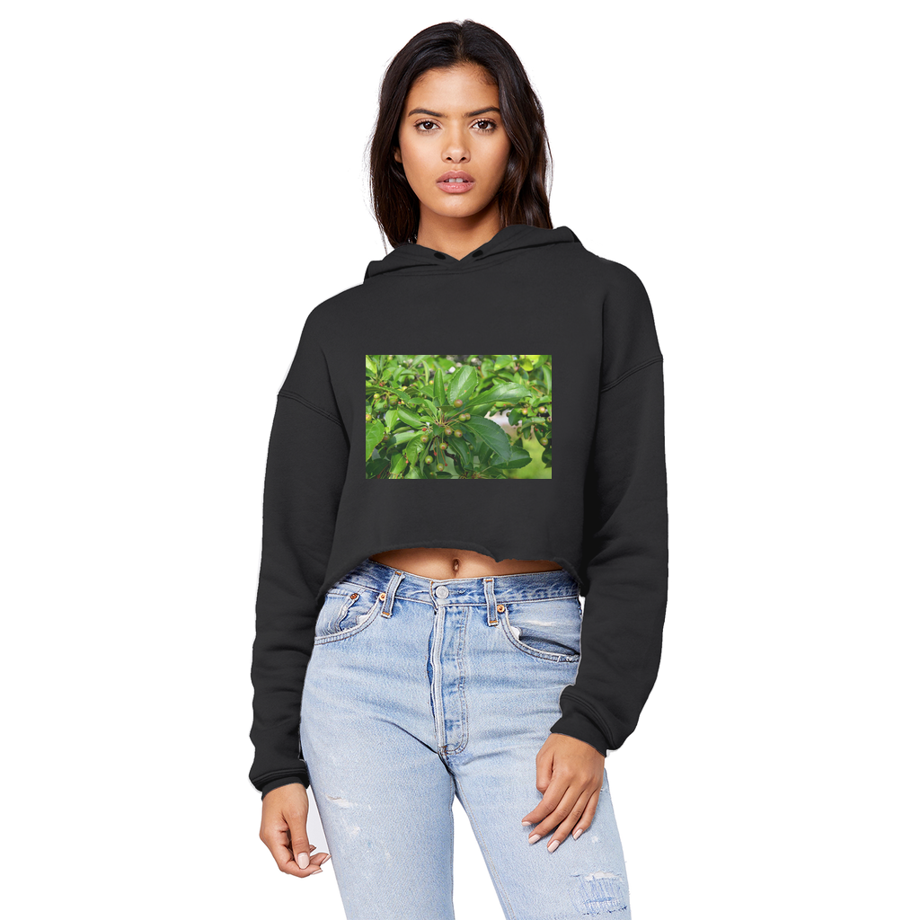 Tree with Seeds Unisex Cropped Raw Edge Boyfriend Hoodie in various colors, showcasing its raw edge hem and double fabric hood.