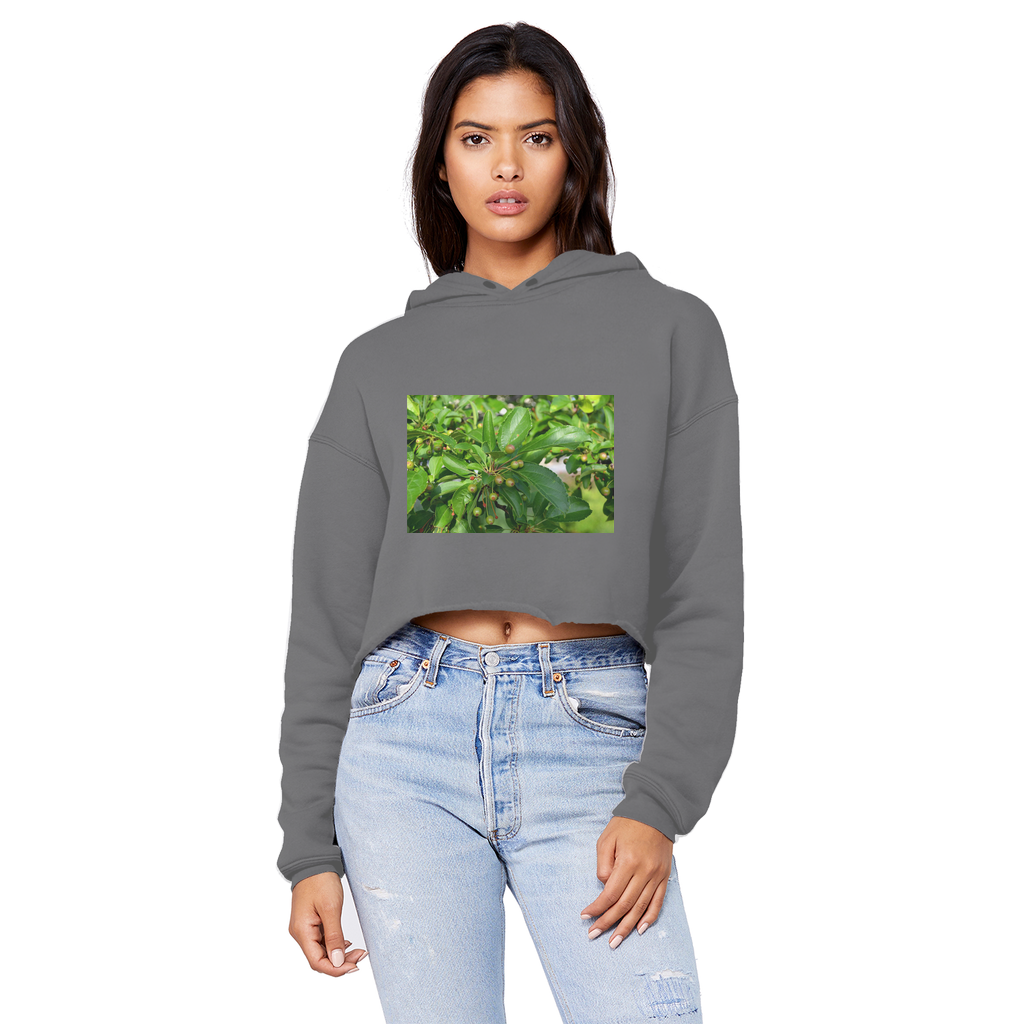 Tree with Seeds Unisex Cropped Raw Edge Boyfriend Hoodie in various colors, showcasing its raw edge hem and double fabric hood.