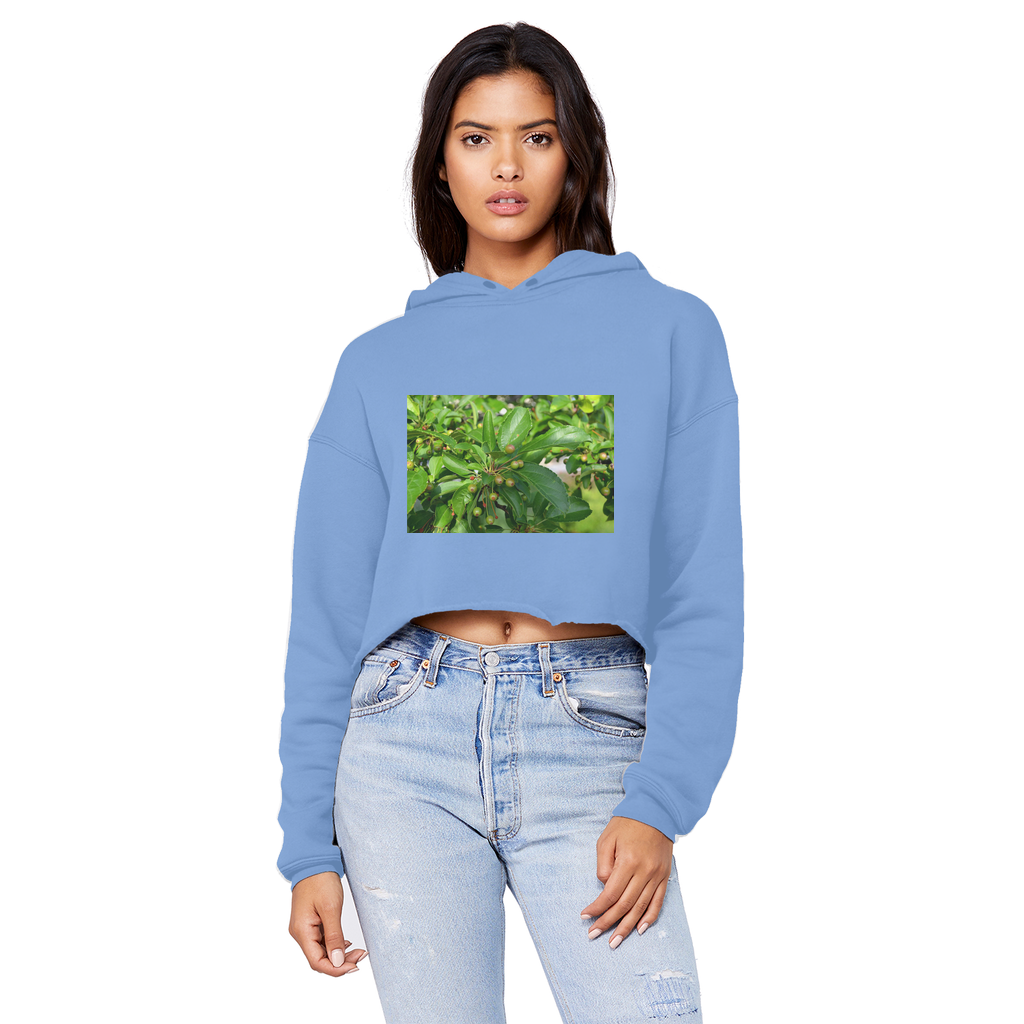 Tree with Seeds Unisex Cropped Raw Edge Boyfriend Hoodie in various colors, showcasing its raw edge hem and double fabric hood.