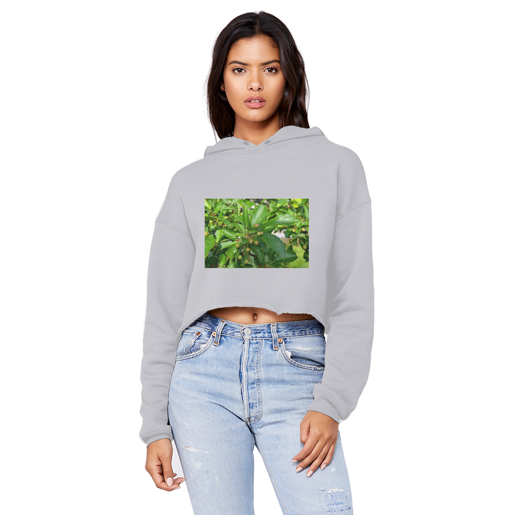 Tree with Seeds Unisex Cropped Raw Edge Boyfriend Hoodie in various colors, showcasing its raw edge hem and double fabric hood.