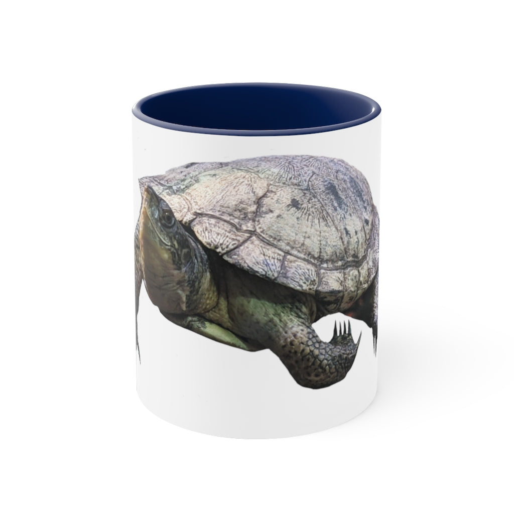 Turtle Accent Coffee Mug, 11oz with colorful interior and C-handle, showcasing a vibrant two-tone design.