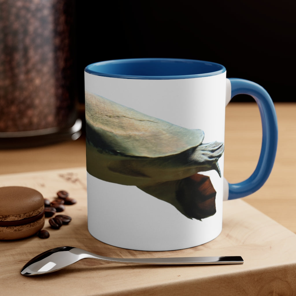 Turtle Accent Coffee Mug, 11oz with colorful interior and C-handle, showcasing a vibrant two-tone design.