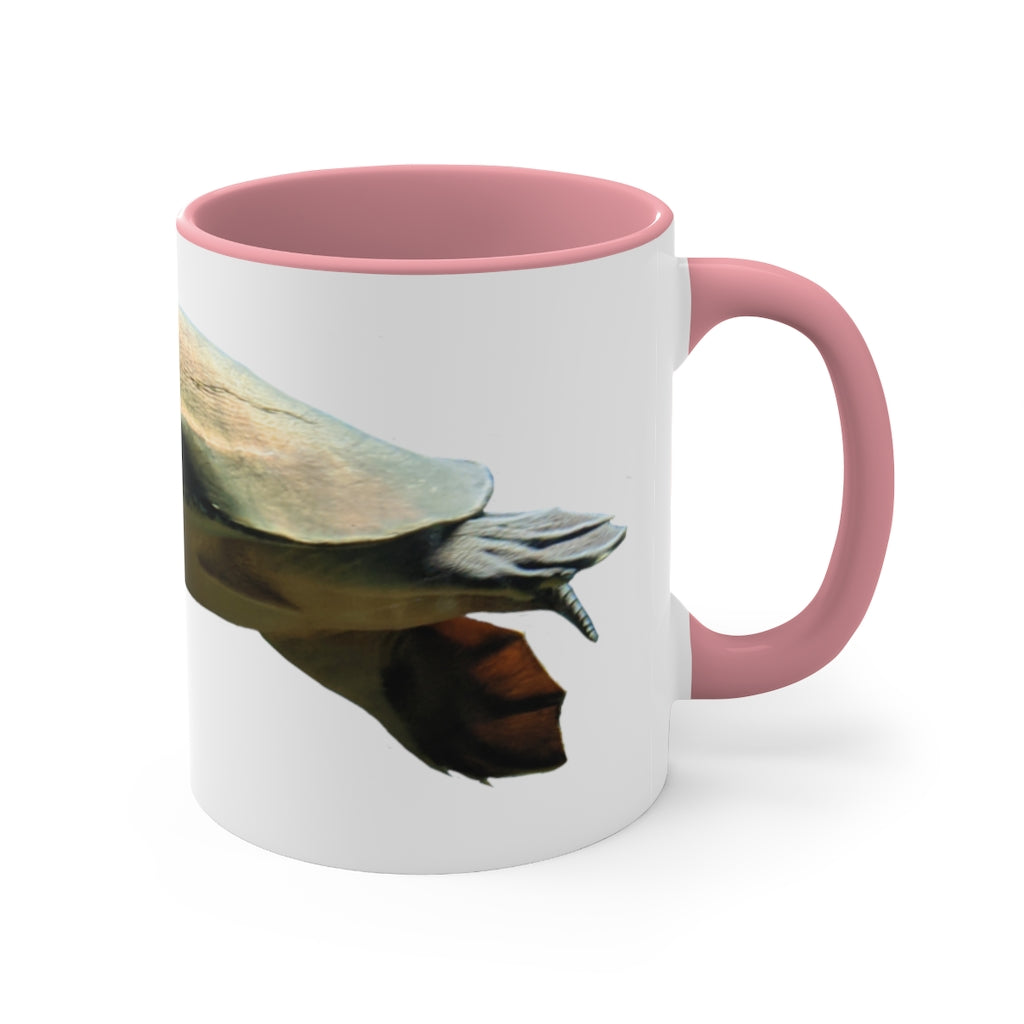 Turtle Accent Coffee Mug, 11oz with colorful interior and C-handle, showcasing a vibrant two-tone design.