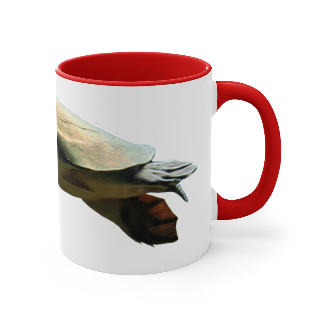 Turtle Accent Coffee Mug, 11oz with colorful interior and C-handle, showcasing a vibrant two-tone design.