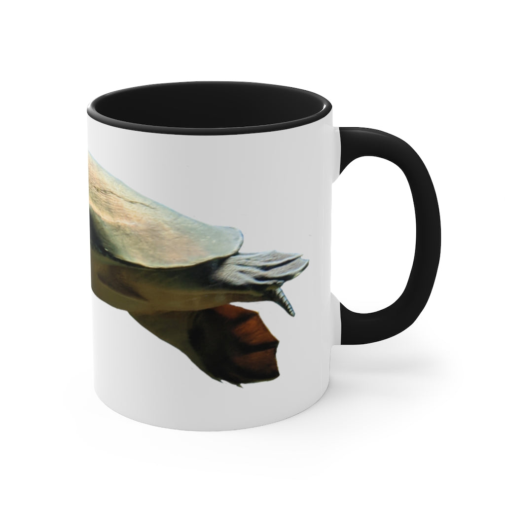 Turtle Accent Coffee Mug, 11oz with colorful interior and C-handle, showcasing a vibrant two-tone design.