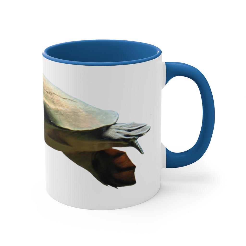 Turtle Accent Coffee Mug, 11oz with colorful interior and C-handle, showcasing a vibrant two-tone design.