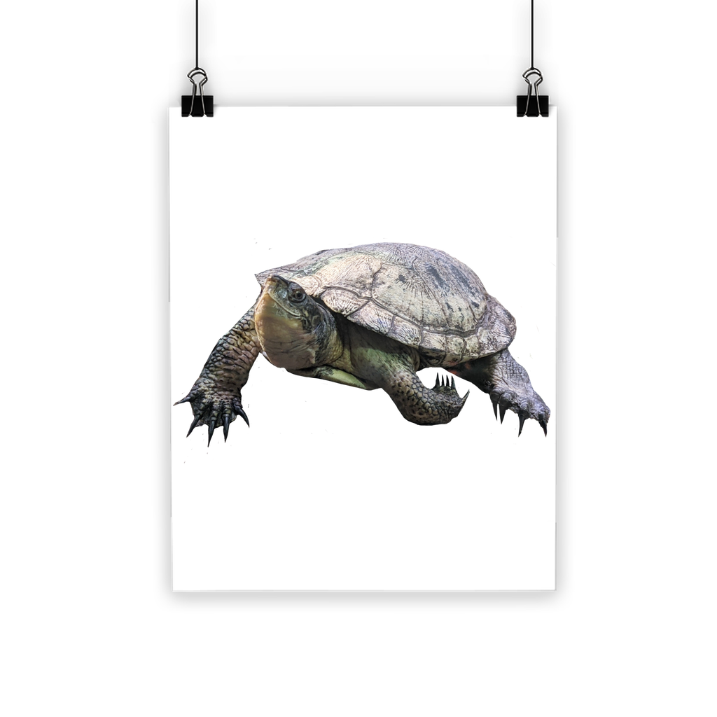 Turtle Classic Poster showcasing vibrant colors on semi-gloss paper, ideal for indoor and outdoor use.