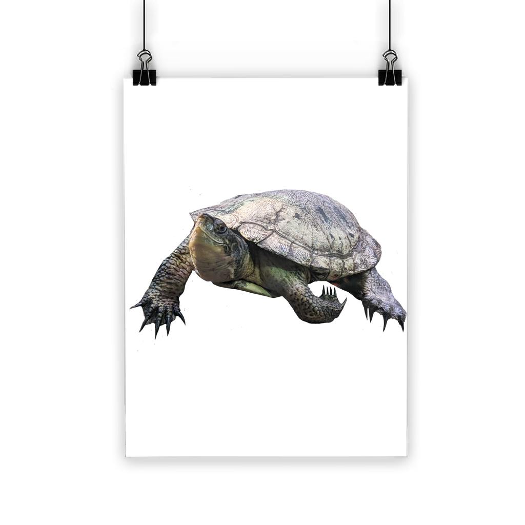 Turtle Classic Poster showcasing vibrant colors on semi-gloss paper, ideal for indoor and outdoor use.