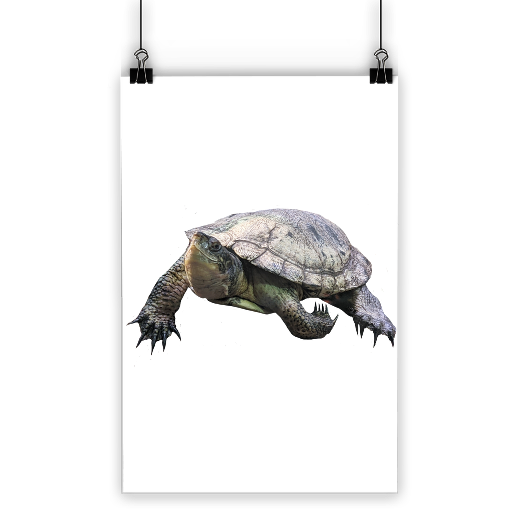 Turtle Classic Poster showcasing vibrant colors on semi-gloss paper, ideal for indoor and outdoor use.