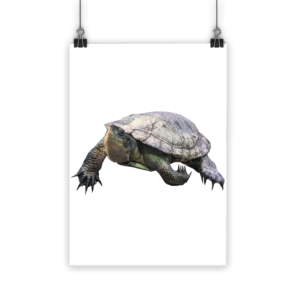 Turtle Classic Poster showcasing vibrant colors on semi-gloss paper, ideal for indoor and outdoor use.