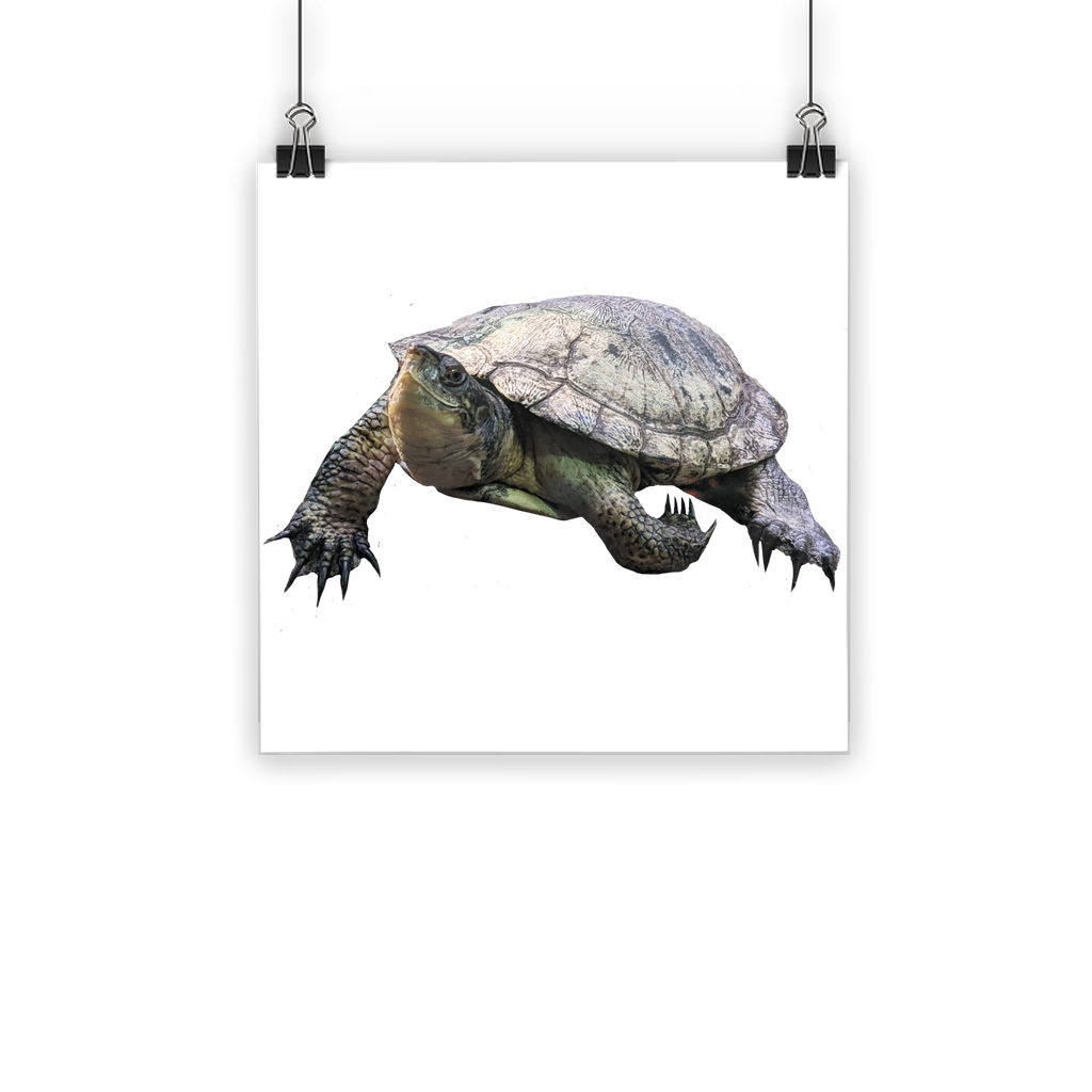 Turtle Classic Poster showcasing vibrant colors on semi-gloss paper, ideal for indoor and outdoor use.