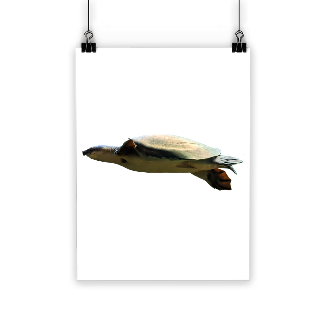 Turtle Classic Poster showcasing vibrant colors and a semi-gloss finish, ideal for indoor and outdoor display.