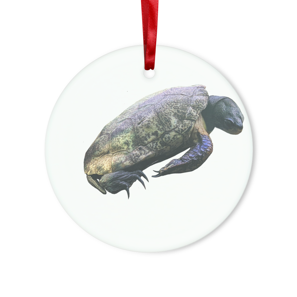 Turtle Glass Hanging Ornament featuring a turtle design, red ribbon, and gold string, perfect for Christmas decoration.