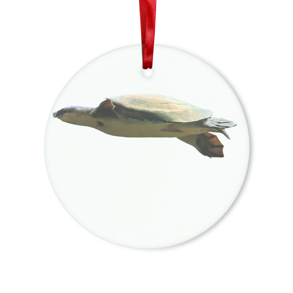 Turtle Glass Hanging Ornament featuring a turtle design, red ribbon, and gold string, elegantly displayed in a white gift box.