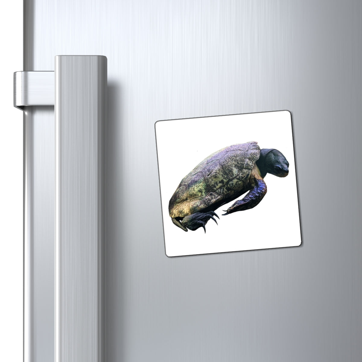 Colorful Turtle Magnets with black backing, showcasing custom designs for effective messaging.