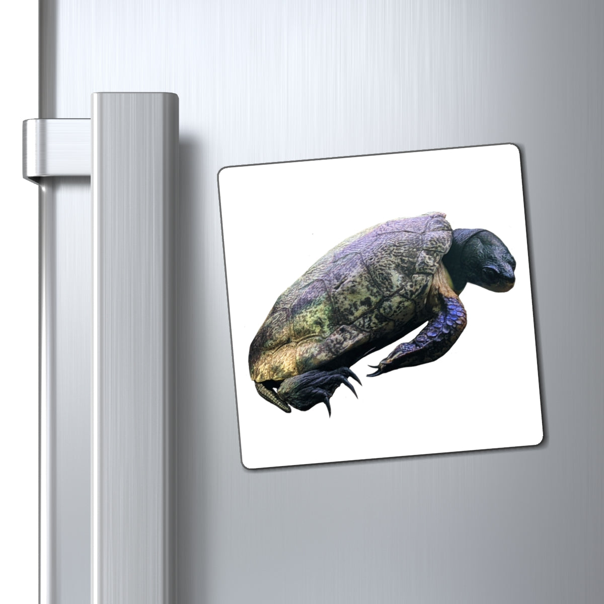 Colorful Turtle Magnets with black backing, showcasing custom designs for effective messaging.