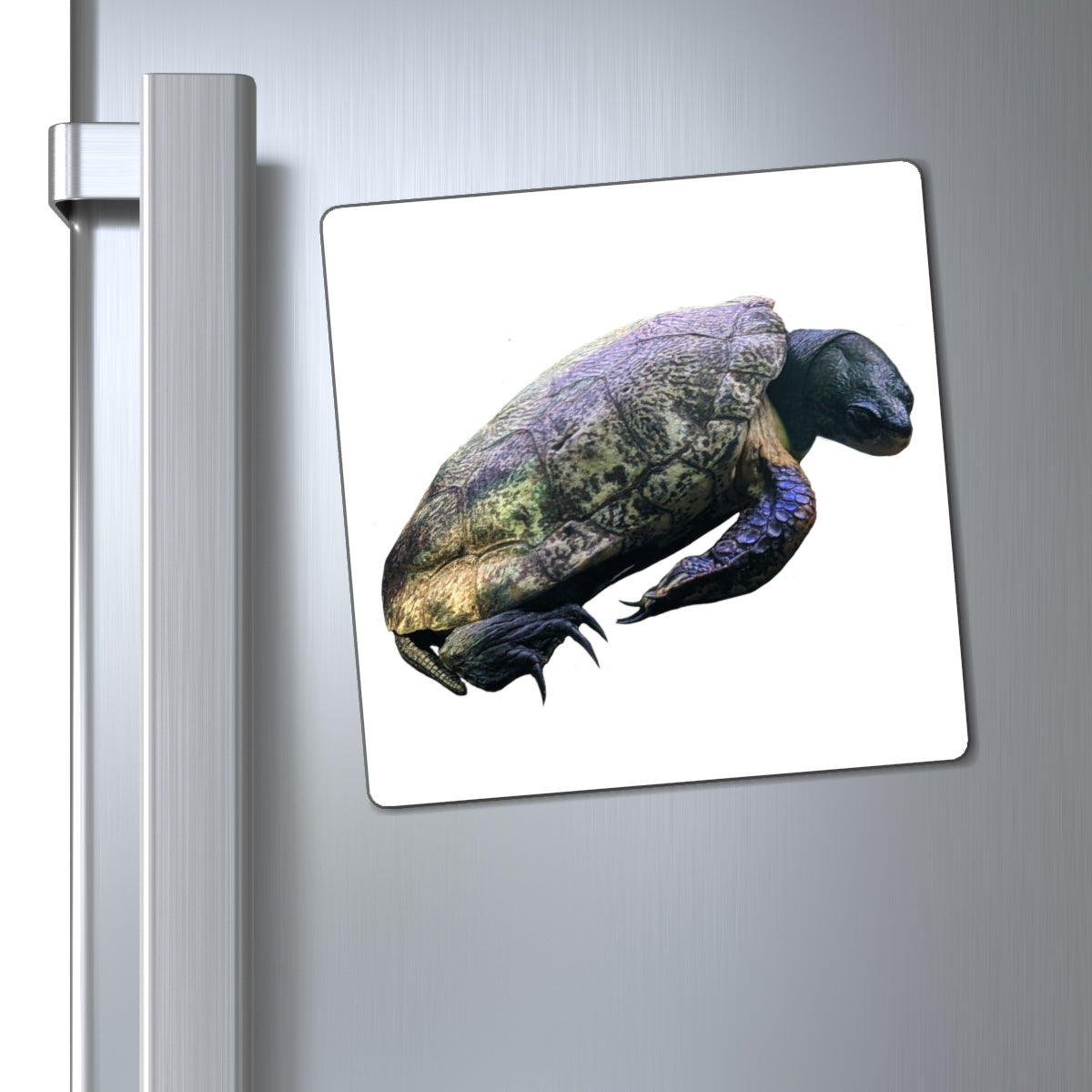 Colorful Turtle Magnets with black backing, showcasing custom designs for effective messaging.