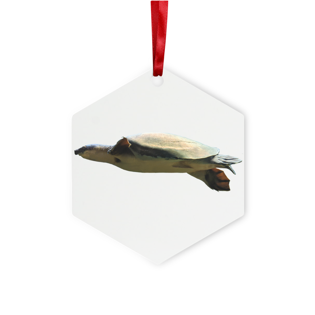 Turtle Metal Hanging Ornament in hexagon and star shapes, featuring a glossy white finish and red ribbon for hanging.