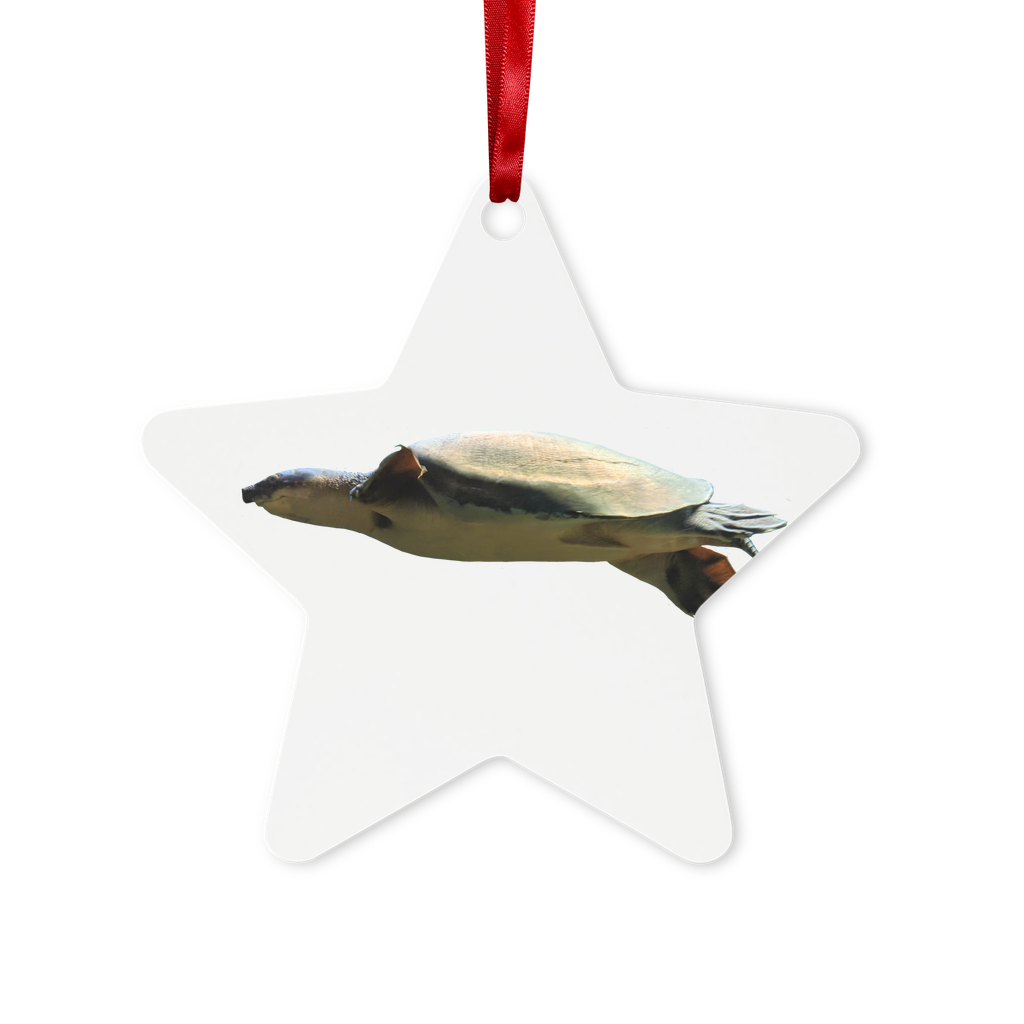 Turtle Metal Hanging Ornament in hexagon and star shapes, featuring a glossy white finish and red ribbon for hanging.