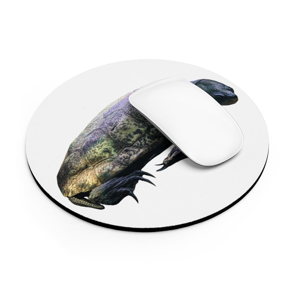 A colorful Turtle Mouse Pad in round and rectangular shapes, featuring a non-slip rubber bottom and vibrant design.