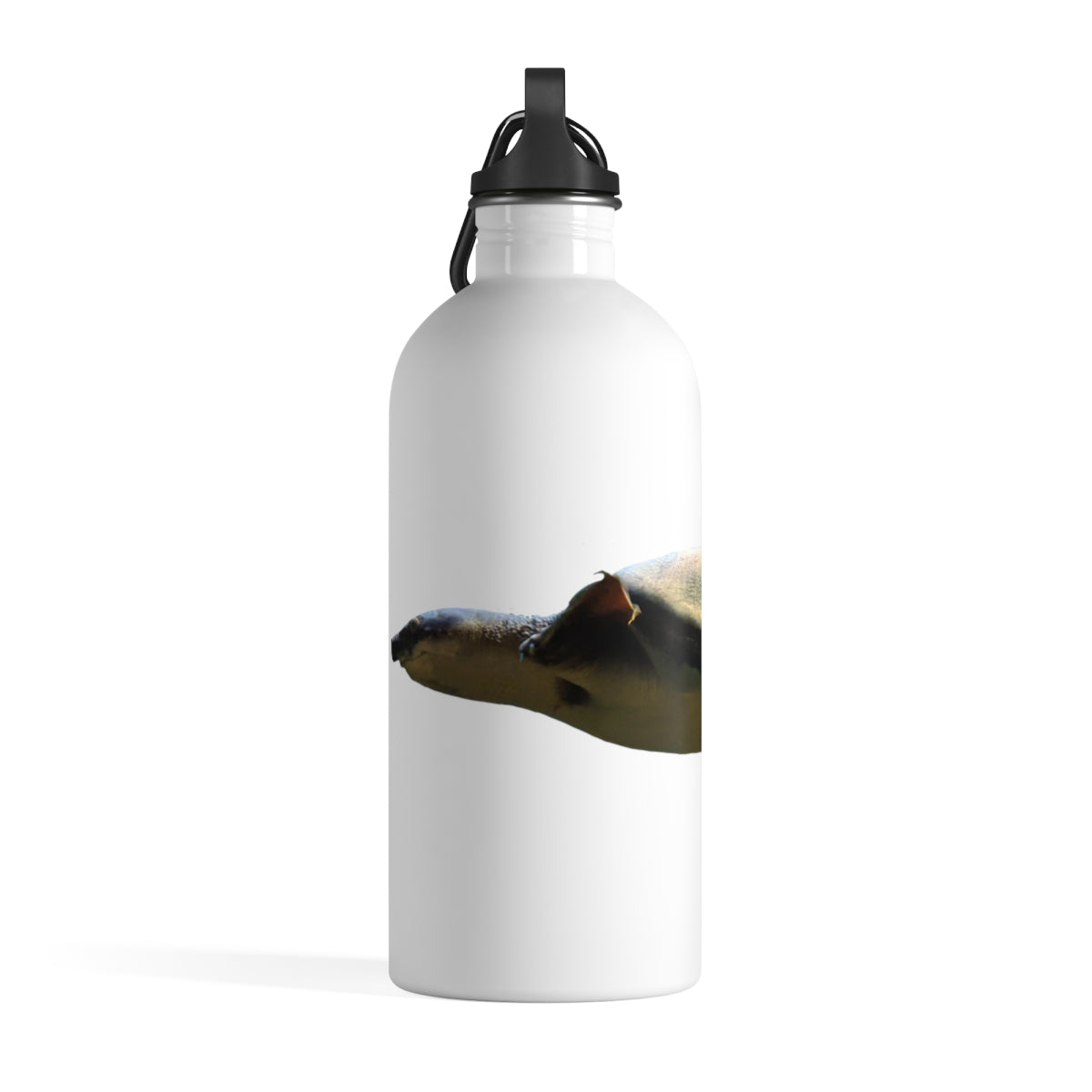 Turtle Stainless Steel Water Bottle with a plastic screw top and carabiner, showcasing its stylish design and lightweight construction.