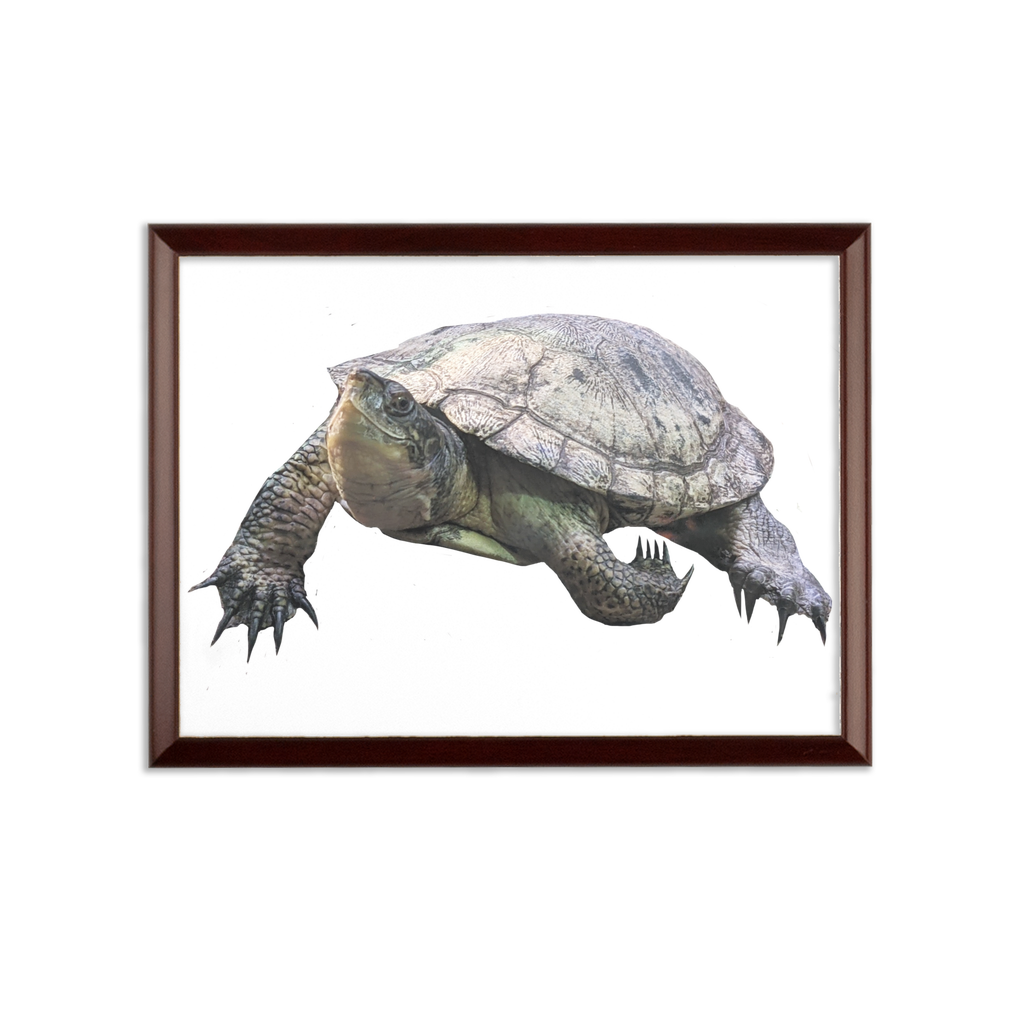 Turtle Sublimation Wall Plaque with a brown wooden frame and white printable surface, showcasing vibrant designs.