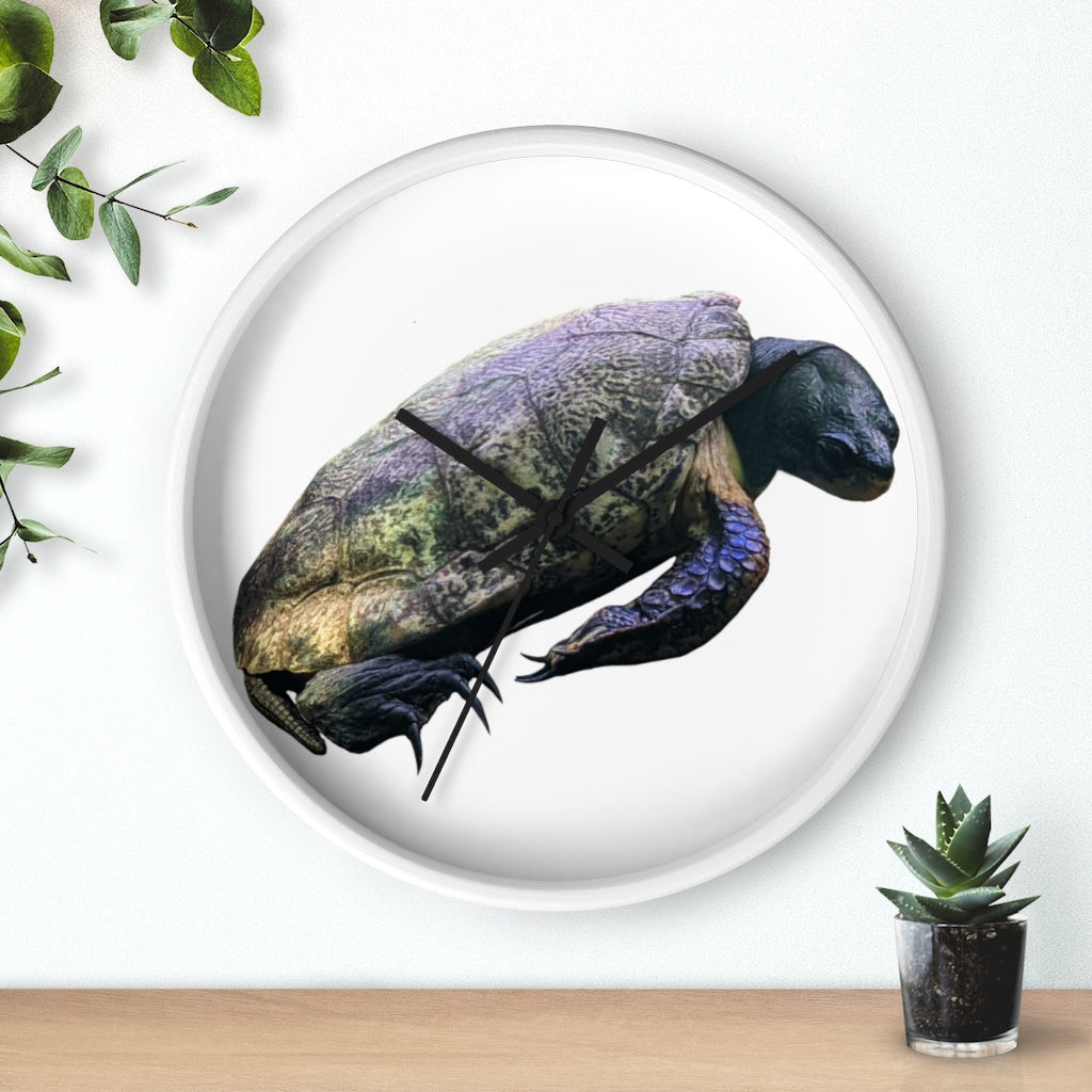 A beautifully designed Turtle Wall Clock featuring a wooden frame and a clear plexiglass face, perfect for indoor decor.