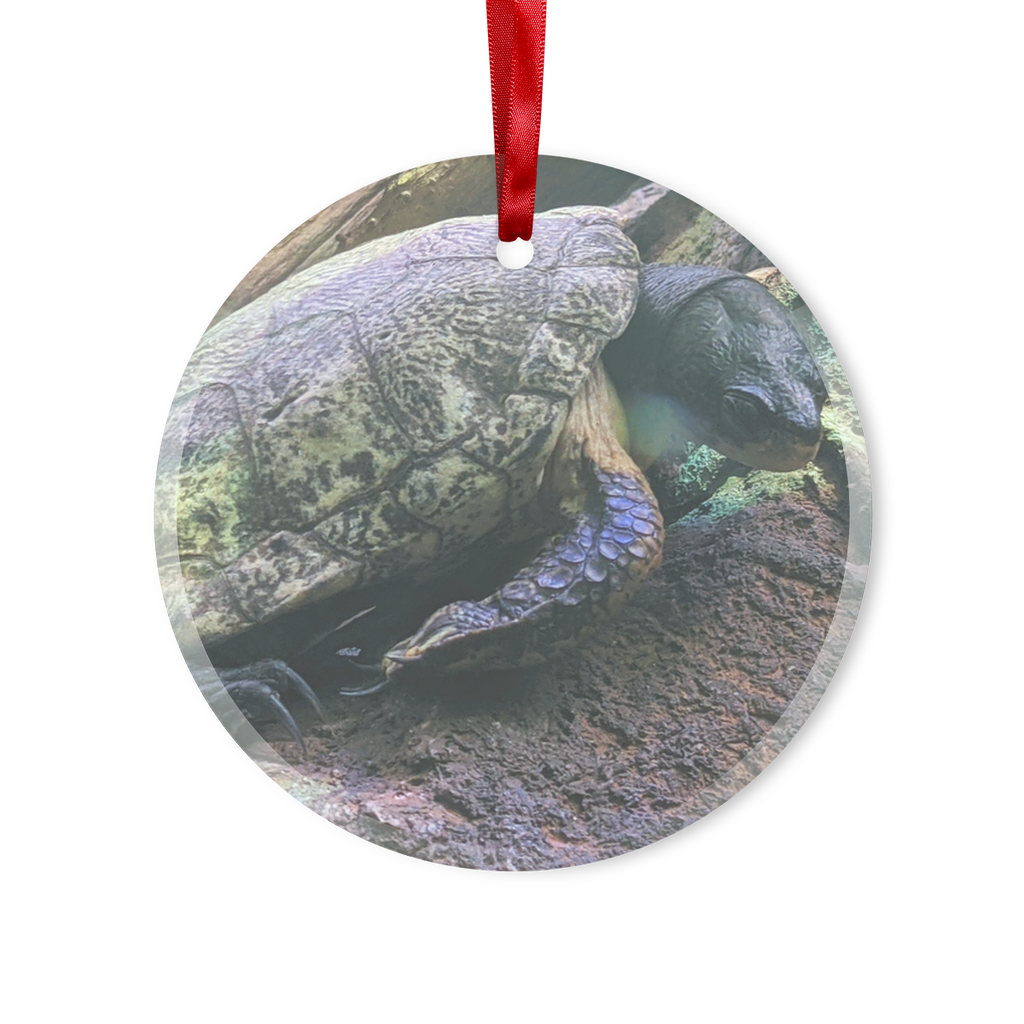 Turtles Glass Hanging Ornament in round and heart shapes, beautifully crafted with a red ribbon and gold string for hanging.