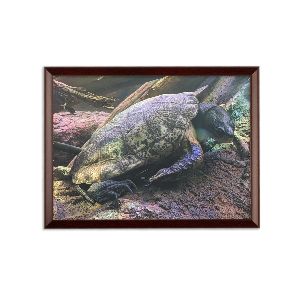 Turtles Sublimation Wall Plaque with brown wooden frame and white printable surface, showcasing customizable design options.