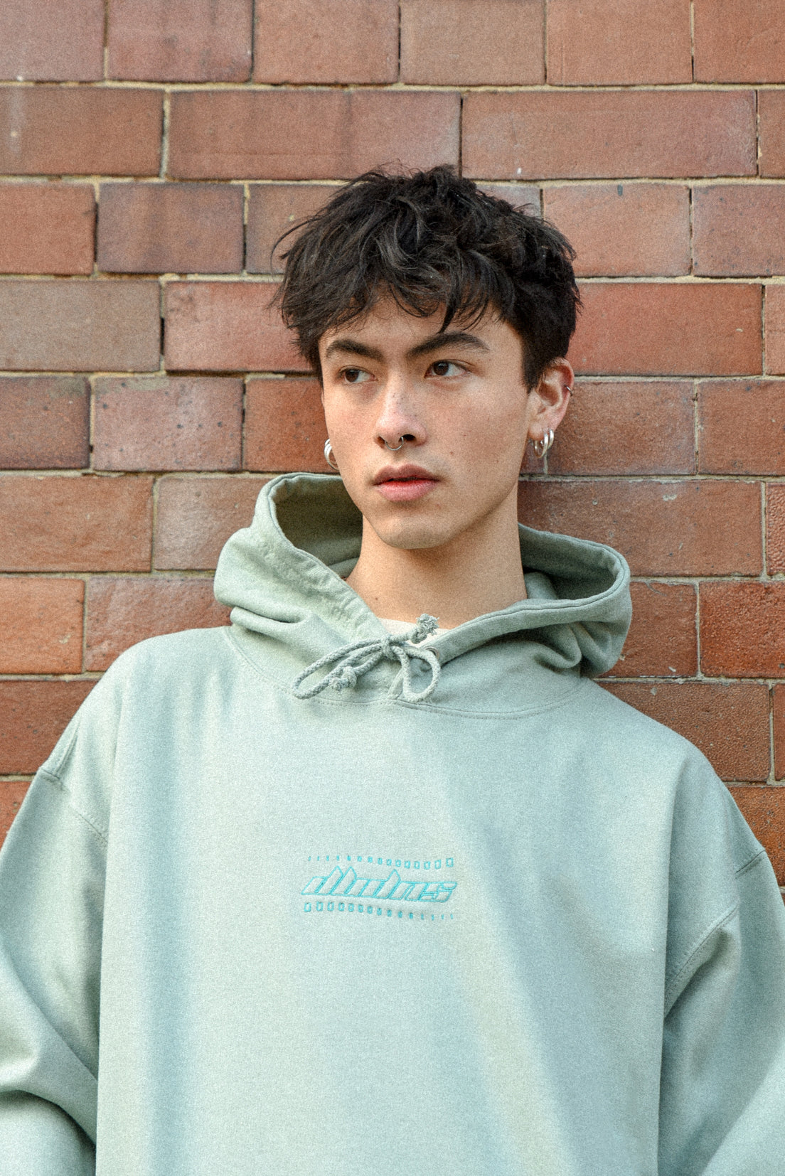 Dusty green unisex hoodie featuring futuristic logo embroidery, showcasing a relaxed fit and heavyweight cotton fabric.