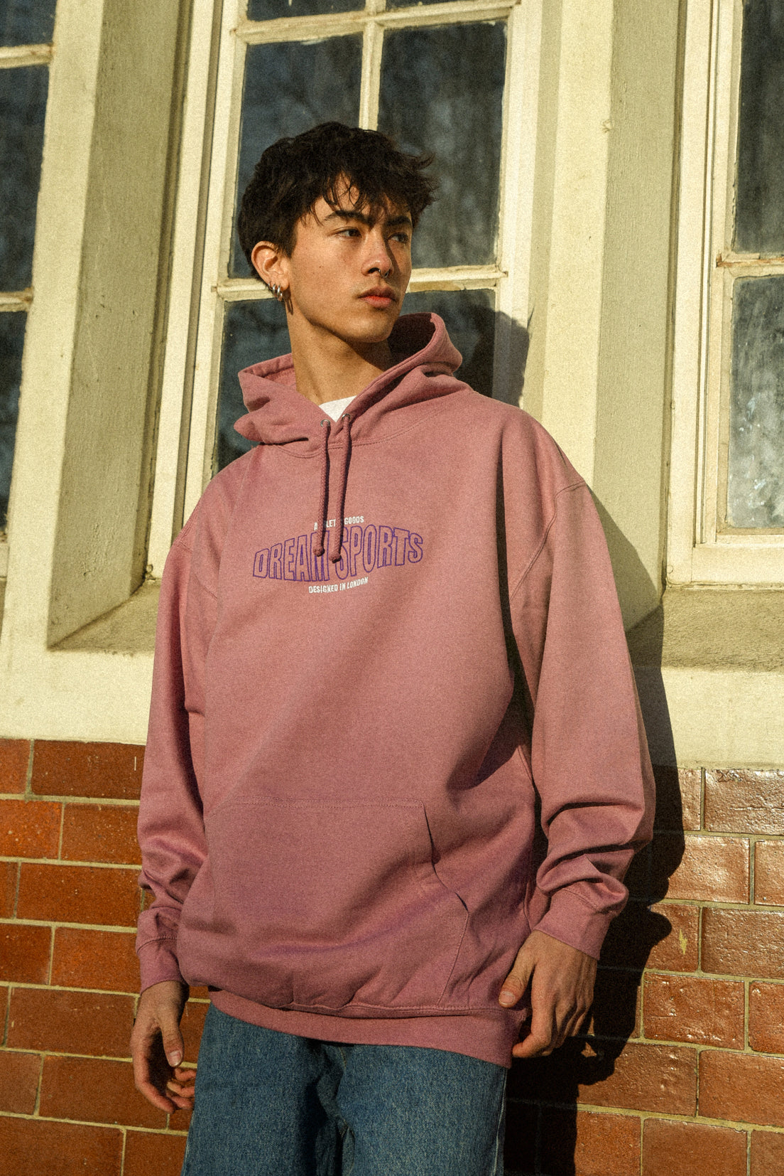 Dusty Purple unisex hoodie featuring Dream Sports embroidery, showcasing a relaxed fit and heavyweight cotton fabric.