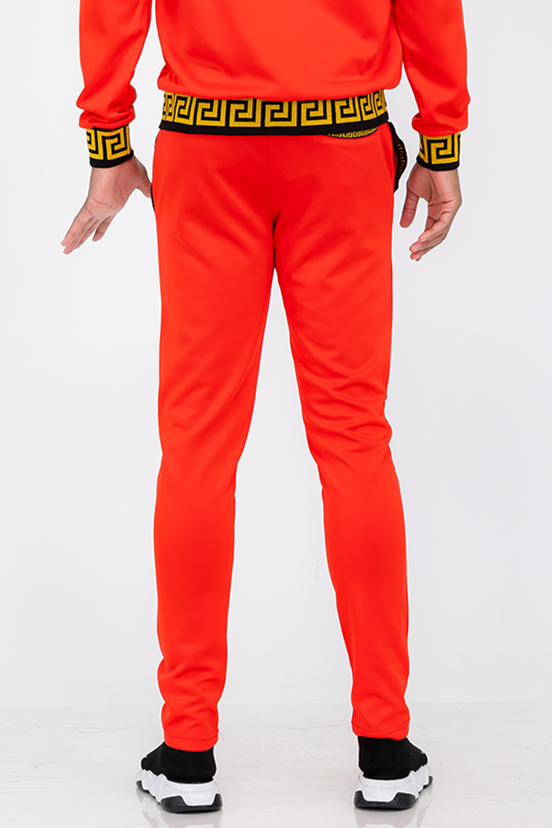 Men's Lion Head Embroidery Status Track Pants featuring an elastic waist and standard pockets, showcasing unique lionhead embroidery on the leg.