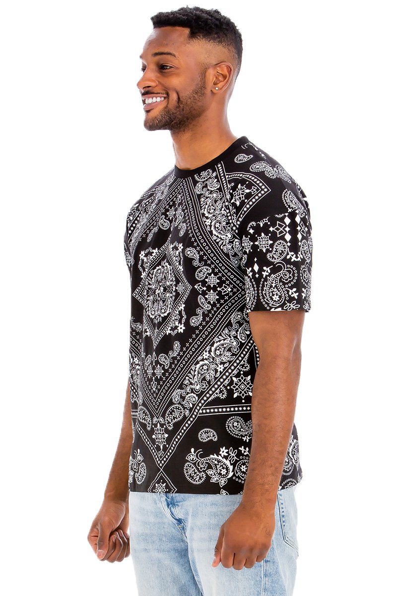 A stylish paisley crew t-shirt made from 100% cotton, featuring an intricate all-over paisley print in a regular fit.