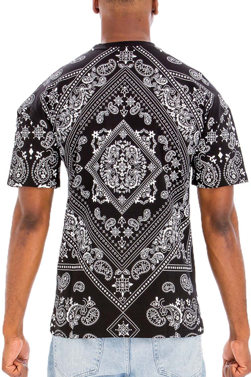 A stylish paisley print T-shirt made of 100% cotton, featuring a round neck and straight hem, perfect for casual wear.